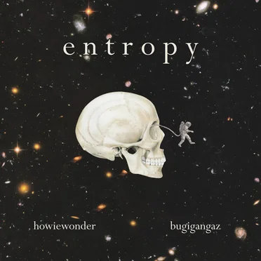 Entropy