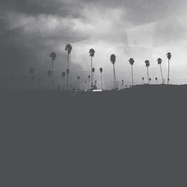 A Dream Amidst The Nightmares