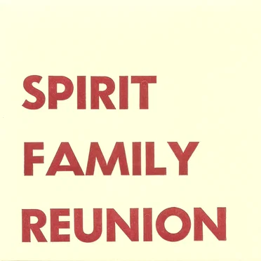 No Separation by Spirit Family Reunion - album cover