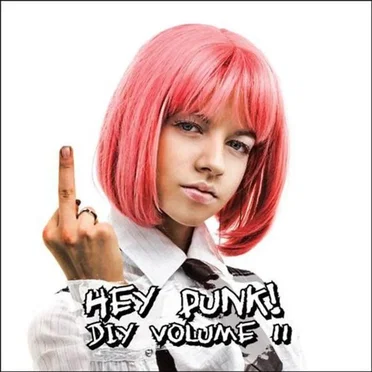 Hey Punk! DIY Volume II by Various Artists - album cover