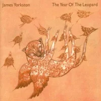 James Yorkston artist image