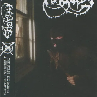 The First Six Months a Mincecore Collection