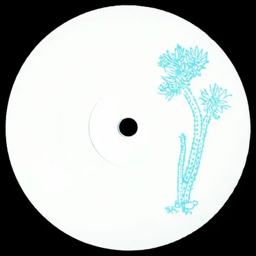 Wilcoxia poselgeri (CCTS003)