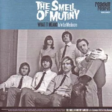 What It Means / Le Mediocre by The Smell of Mutiny - album cover