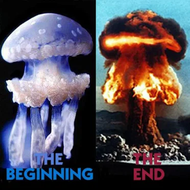 The Beginning the End