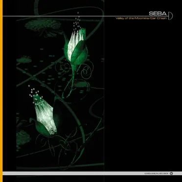 Valley of the Moomins / Car Crash