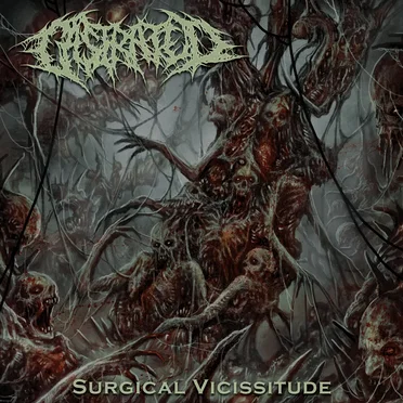 Surgical Vicissitude by Castrated - album cover