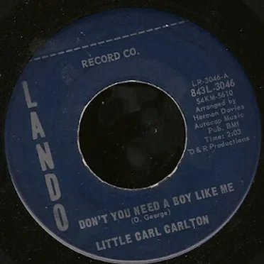 Don't You Need a Boy Like Me / I'll Love You Forever