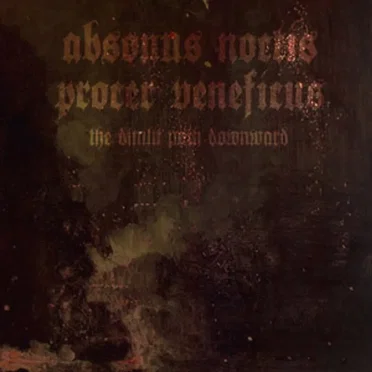 The Dimlit Path Downward by Various Artists - album cover