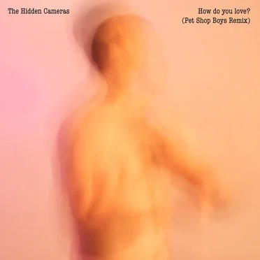 How Do You Love? (Pet Shop Boys remix)