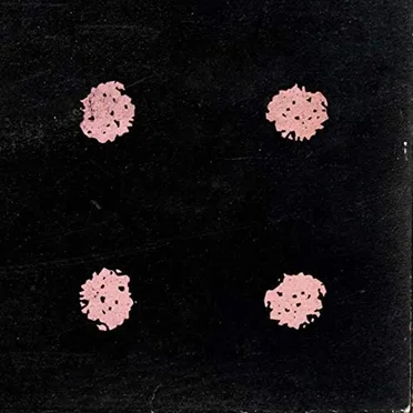Squalls, Vol 4 by The Indiana Drones - album cover