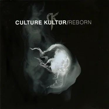 Reborn by Culture Kultür - album cover