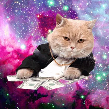 House Cats by Strohm - album cover