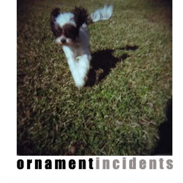 Incidents