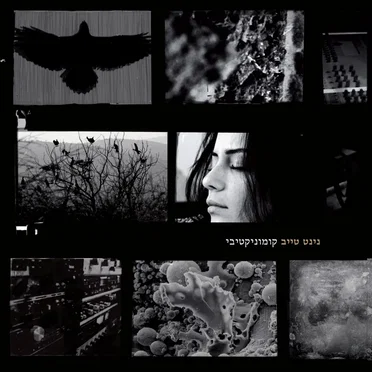 קומוניקטיבי