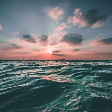You Are the Ocean