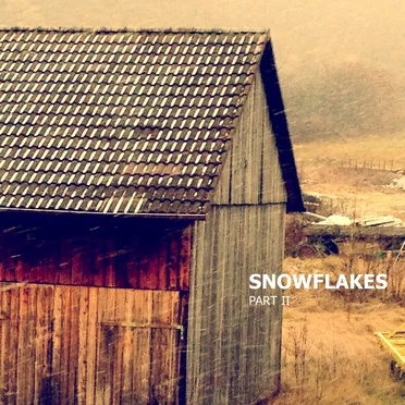 Snowflakes II by Various Artists - album cover