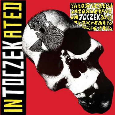 Intoczekated by Nick Toczek - album cover