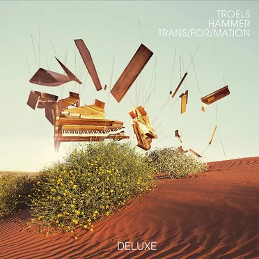 Trans/For/Mation (Deluxe) by Troels Hammer - album cover
