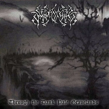 Through the Dank Pale Gravelands by Wardaemonic - album cover