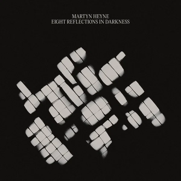 Eight Reflections in Darkness