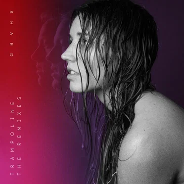 Trampoline: The Remixes