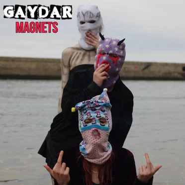 Magnets by Gaydar - album cover
