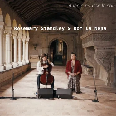 Angers pousse le son by Birds on a Wire - album cover