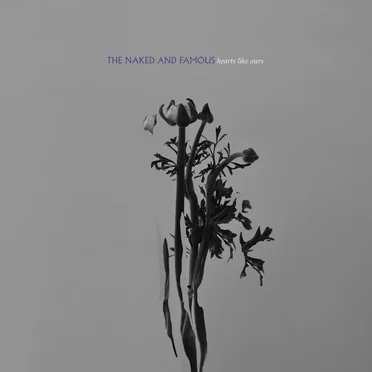 Hearts Like Ours by The Naked and Famous - album cover