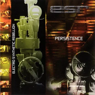 Persistence