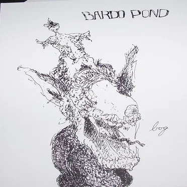 Bog / Pushed Out Into the Sun