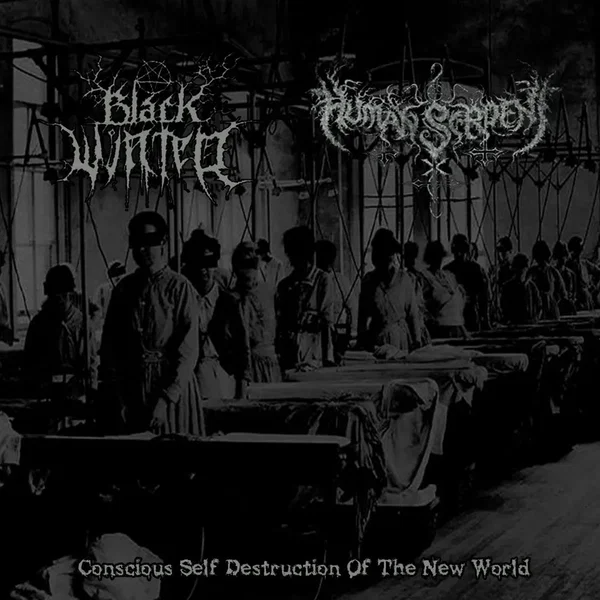 Conscious Self Destruction of the New World