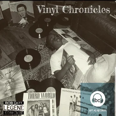 VINYL CRONICLES