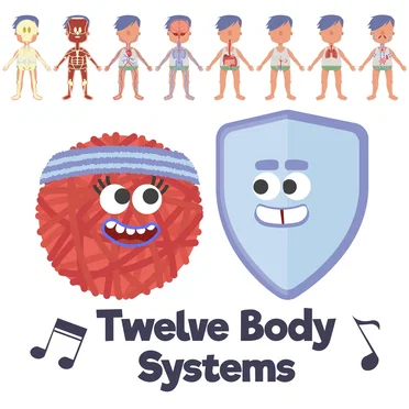 Twelve Body Systems Song by Hopscotch Songs - album cover