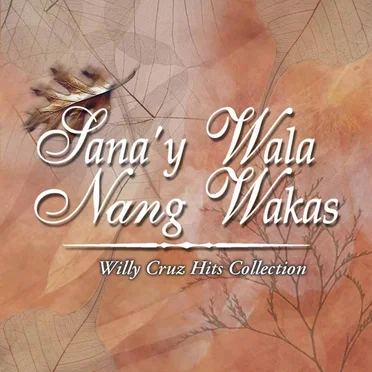 Sana’y Wala Nang Wakas (Willy Cruz Hits Collection) by Various Artists - album cover