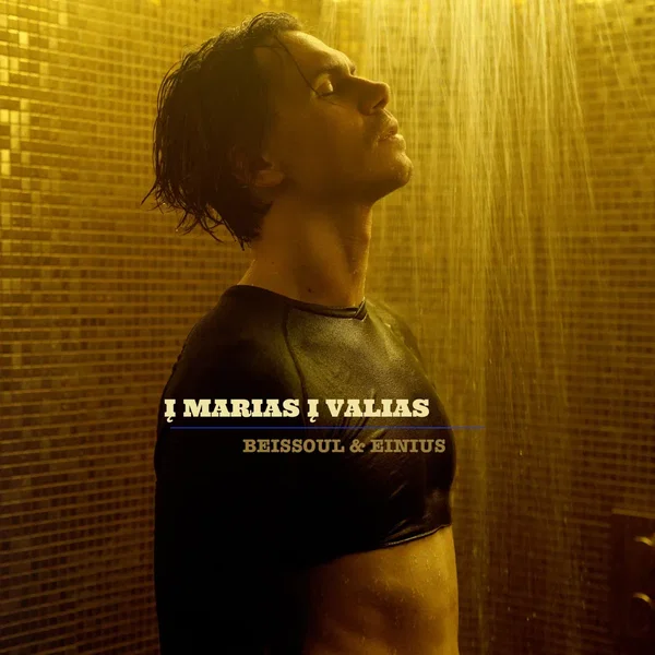 Į marias į valias