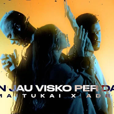 Man jau visko per daug by Žemaitukai - album cover
