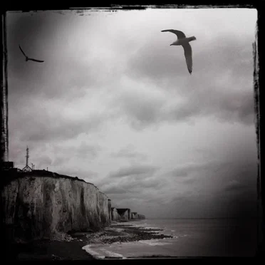 Streams of Consciousness