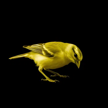Little Bird Vol. 2
