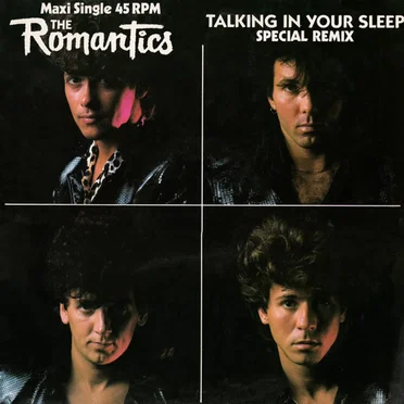 Talking in Your Sleep (special remix)