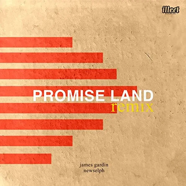 Promise Land (remix)