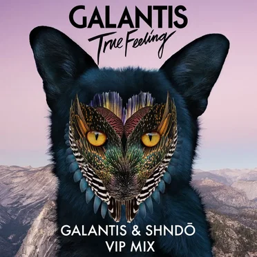 True Feeling (Galantis & shndō VIP mix)