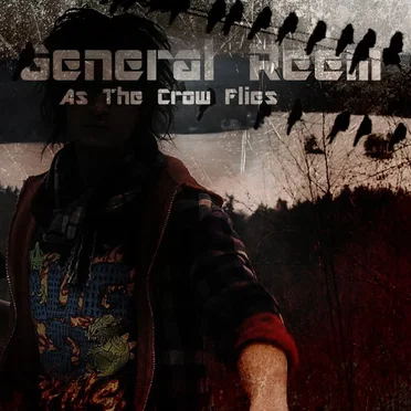 As The Crow Flies