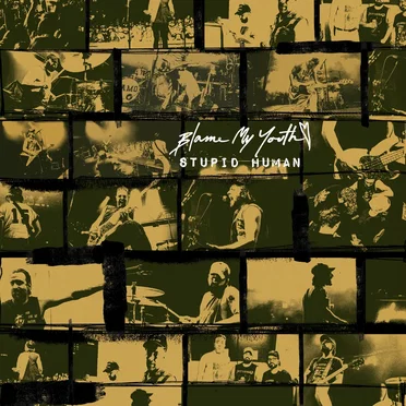 Stupid Human by Blame My Youth - album cover