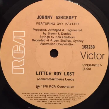 Little Boy Lost