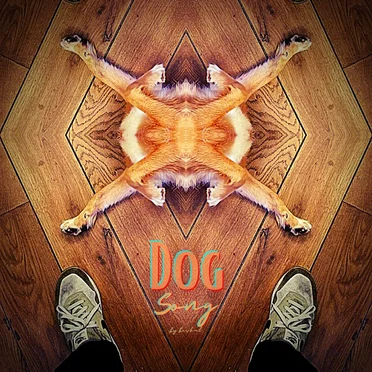 Dog Song