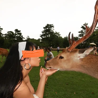 Valentine’s Day Freestyle ’25