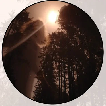 Moonlit Missive #110: Leaves Outlined in Moonglow