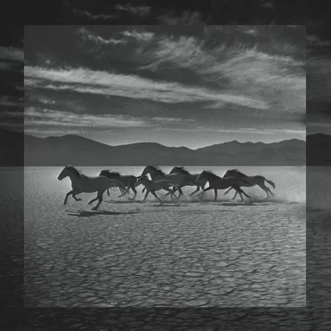 The Great Upheaval by Oikos - album cover