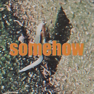 somehow